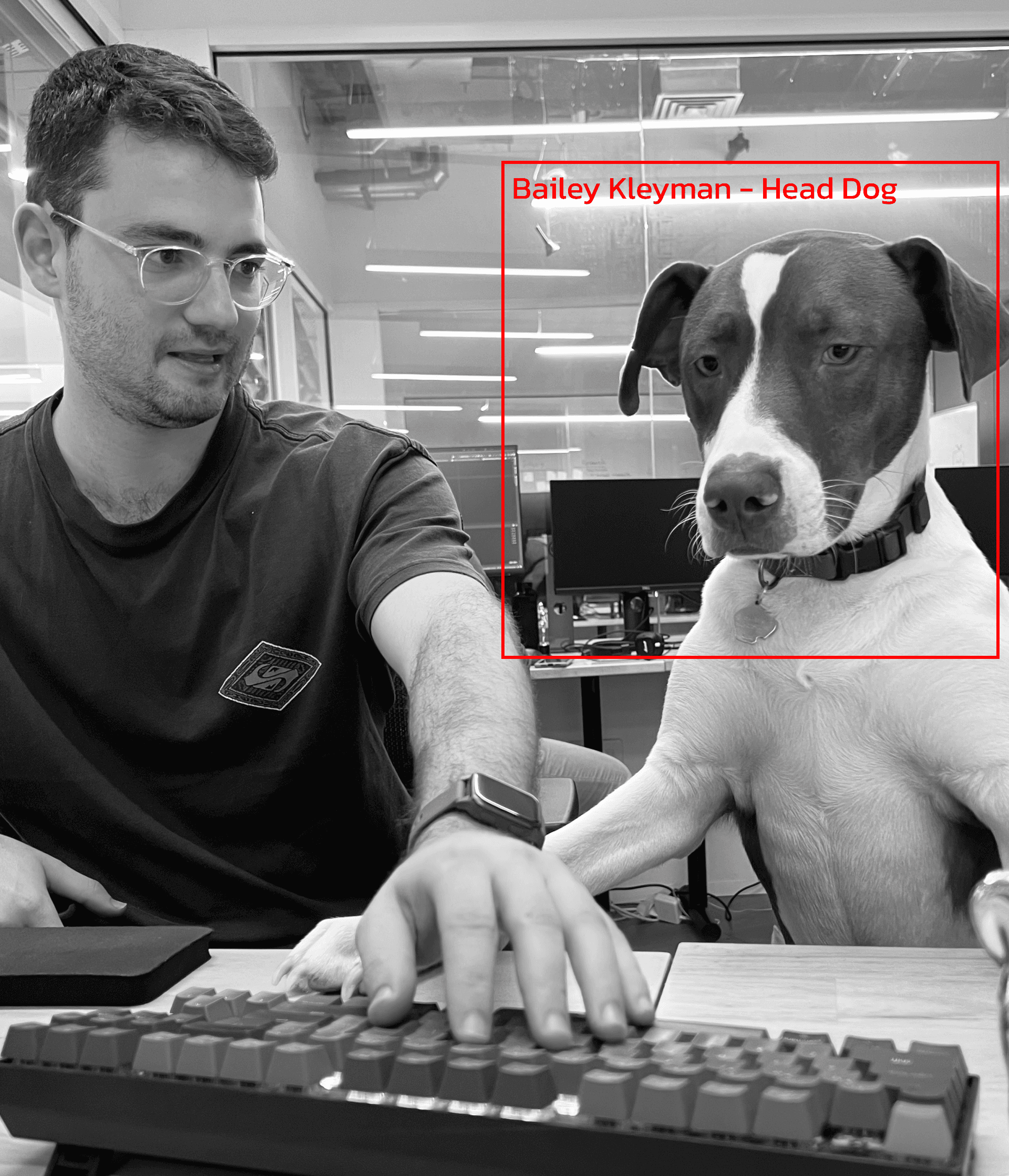 Bailey Kleyman - Head Dog